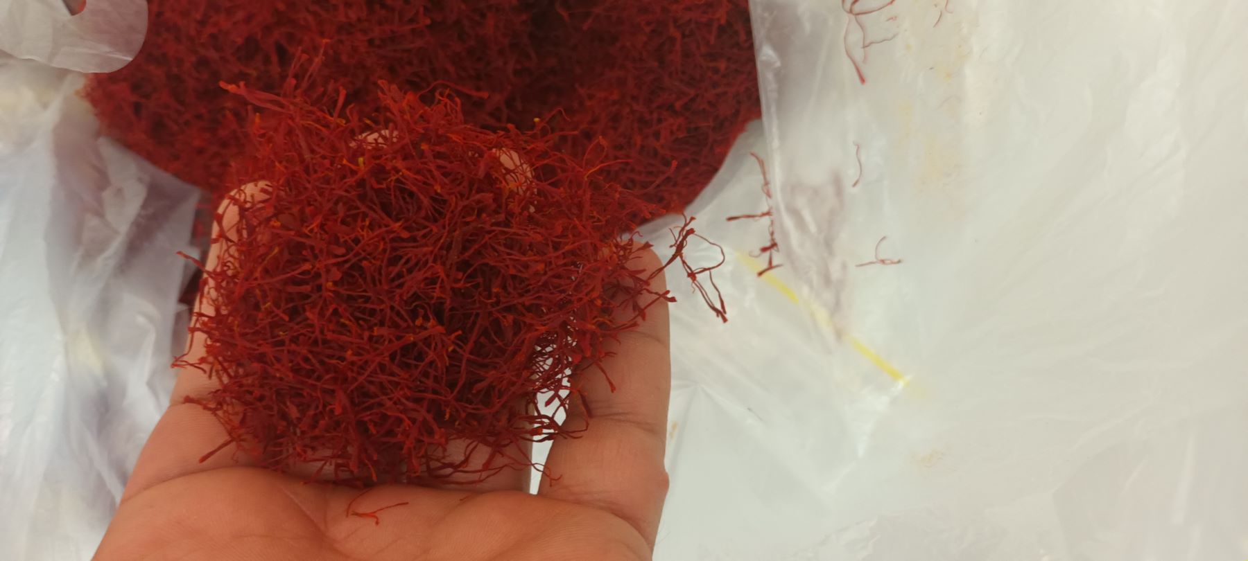 زعفران درجه یک و ارگانیک